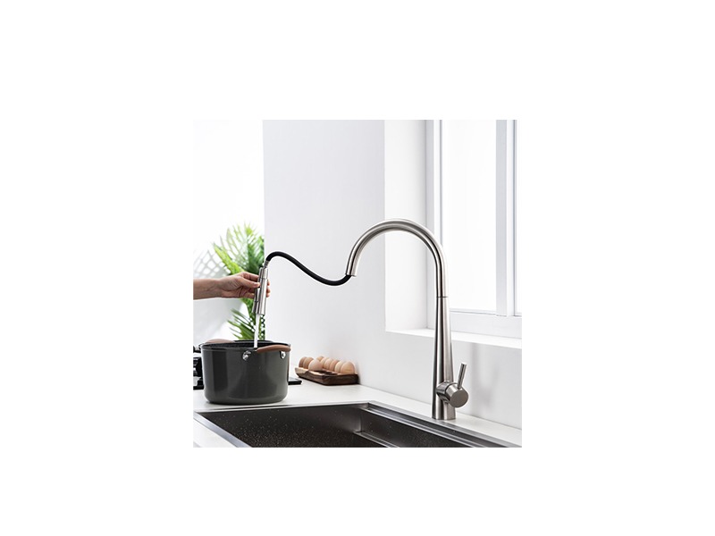 Karag ELISA 800x600 webp